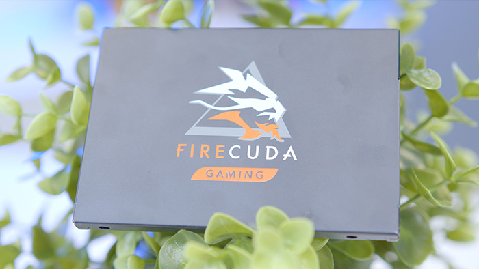 FireCuda SATA - How Much Storage Do You Need