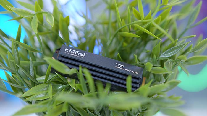 Crucial T700 in Plant Pot