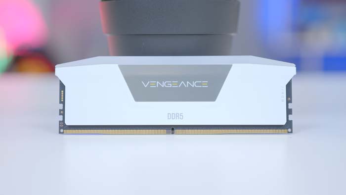 Corsair Vengeance RGB White DDR5 on plant