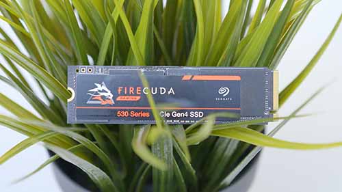 PI_Seagate Firecuda 530 in Plant Pot
