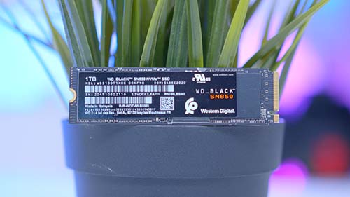 PI_WD Black SN850 on Plant Pot