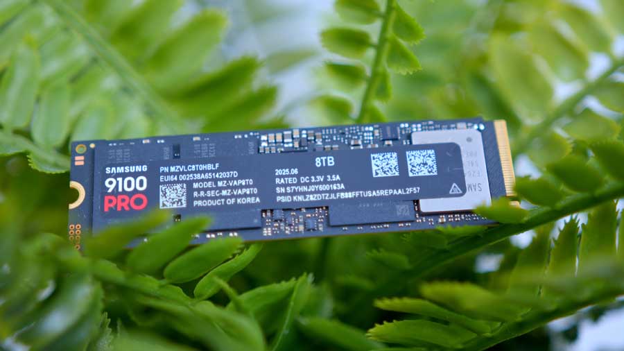 MPI_Samsung 9100 Pro 8TB Plant