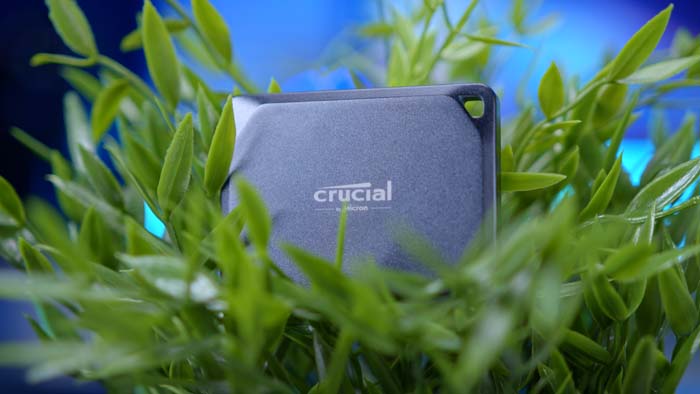 Crucial X10 Pro SSD in Plant Pot