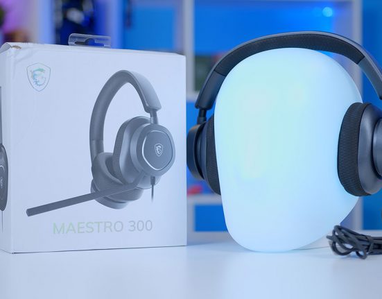 FI_MSI Maestro 300